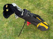 Ladies Golden Bear Titanium